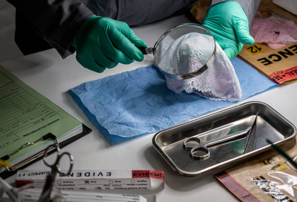 Police scientist inspects rape victim's underwear with a magnifying glass to investigate DNA in crime lab, concept image stock photo