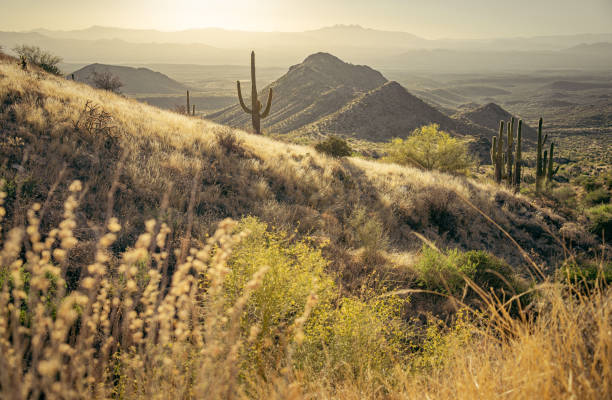 istock The Majestic McDowell Mountains 1399027099