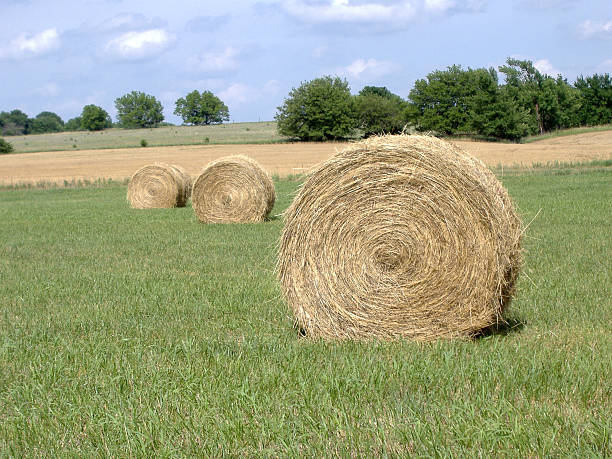 istock Hay Bales in Mid-Afternoon Sun 139902794