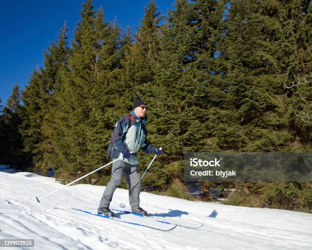 De Esqui Crosscountry - Fotografias de stock e mais imagens de Adulto - Adulto, Ao Ar Livre, Atividade Recreativa