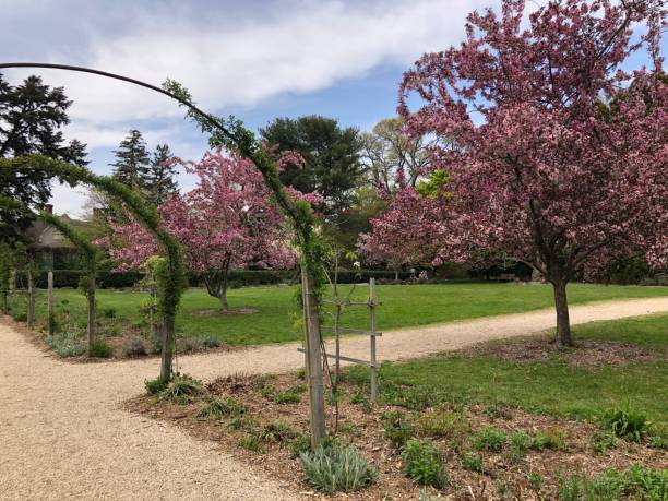 istock Garden Arch Arbors in the Springtime 1399029346