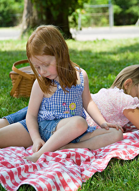 Little girl looks at a mosquito bite during a picnic stock photo