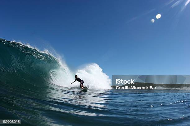 Pesce Pepita - Fotografie stock e altre immagini di Australia - Australia, Surf, Ovest