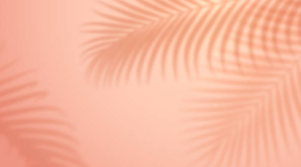 istock Realistic shadow from leaf of palm tree on orange background. Tropical leaves shadow. Mockup with palm leaves silhouette. Vector illustration backdrop with exotic leafage of fern plant, overshadow 1399030852