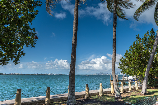 Idyllic view of Miami Beach from a public park.