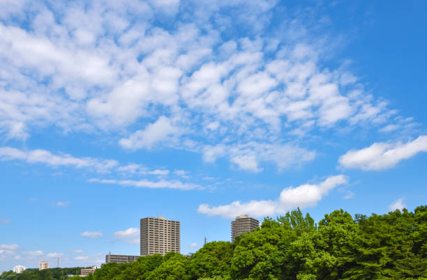 Fresh green trees and apartments. Japan's residential area, suburbs of Tokyo.