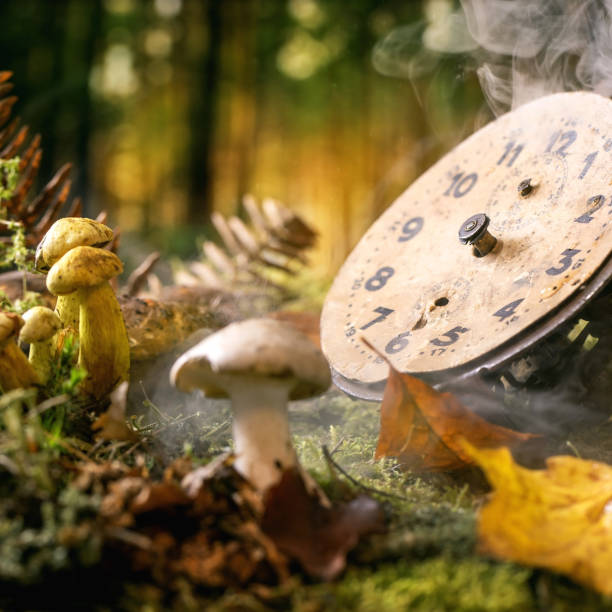 istock Fairy tale ambiance magical autumn forest background 1399036229