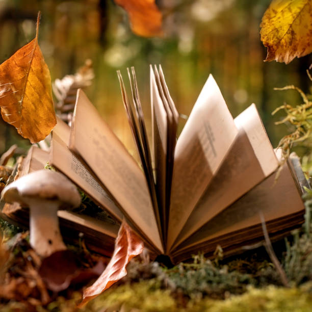istock Fairy tale ambiance magical autumn forest background 1399036231