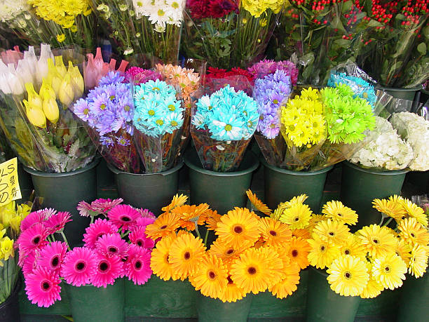 istock Rainbow of flowers 139903908