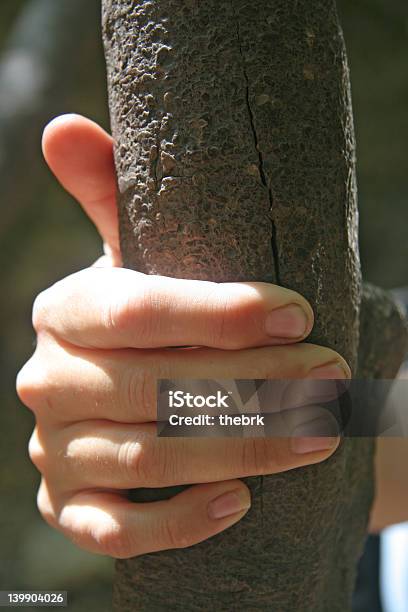 Mão Segurando Árvore - Fotografias de stock e mais imagens de Acaso - Acaso, Acidentes e Desastres, Agarrar