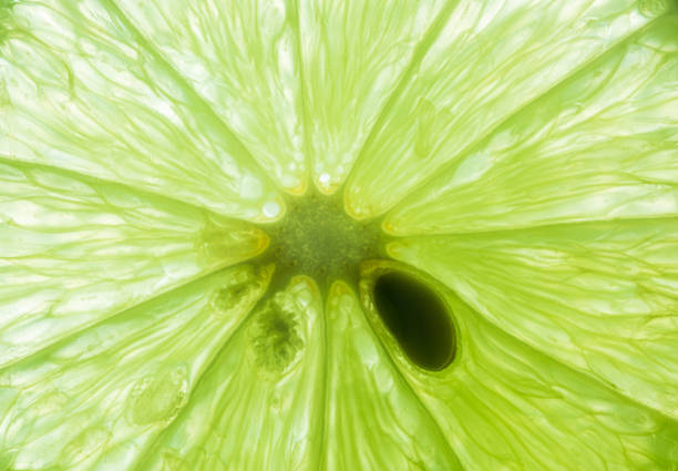istock macro lemon texture,Macro lemon texture,Macro close up surface texture Juicy slice of lime 1399040412