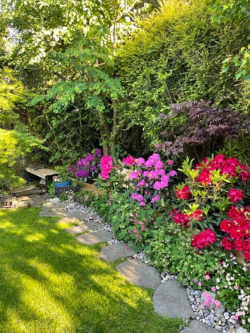Stock photo showing part of a Japanese style garden with a number of oriental features. Pictured are potted flowering azalea shrubs besides a stepping stone garden path.