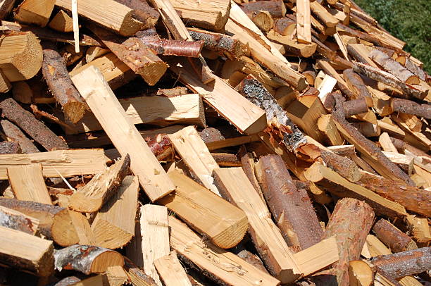 Pile of wood stock photo
