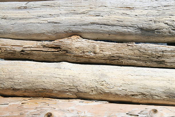 driftwood striscio - 1 - logpile foto e immagini stock