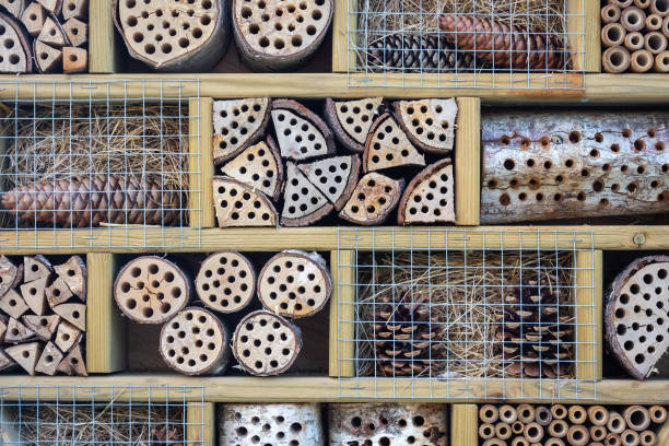 istock A beautiful wooden insect hotel 1399049390