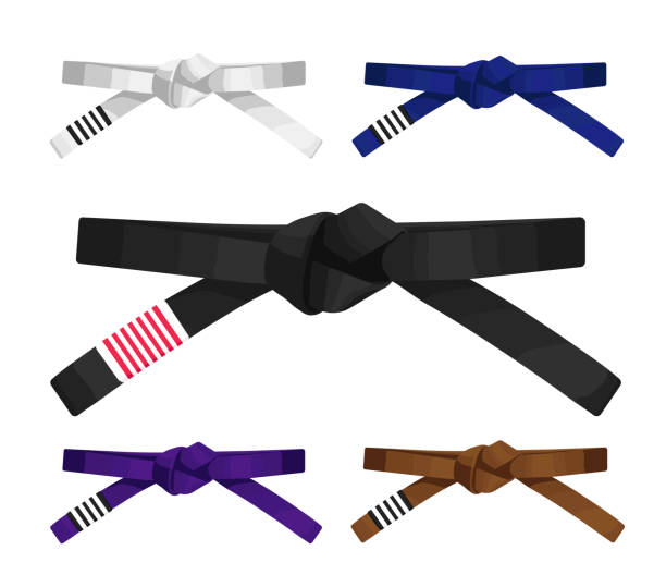 ilustraciones, imágenes clip art, dibujos animados e iconos de stock de sistema de rango de cinturones adultos de jiu jitsu brasileño. ilustración vectorial aislada sobre blanco. - purple belt