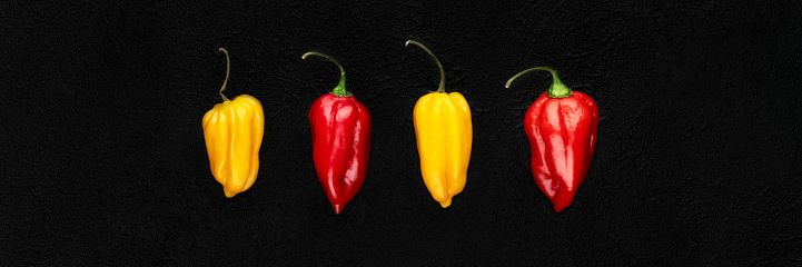 Habanero, variety of chili pepper, on black background banner. Four red and yellow hot peppers, flat lay, top view. Panoramic web header. Wide screen wallpaper
