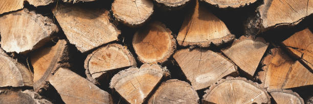 istock Pile of firewood logs background banner 1399049900