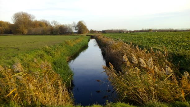 istock a ditch between green fields in the countryside in fall 1399051616