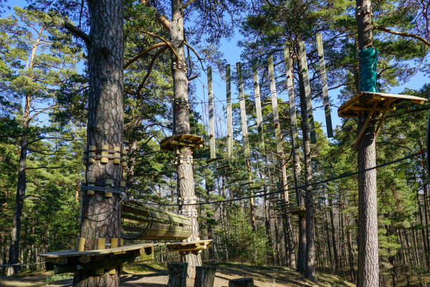 istock High rope bridge in a pine forest, part of a ropes course 1399052183