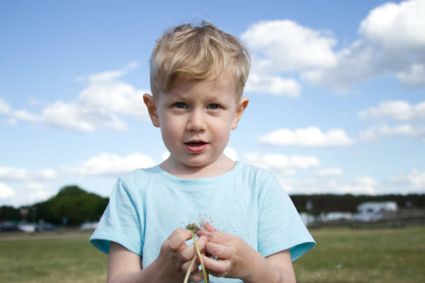 istock Portrait of a boy holding a scattered dandelion 1399052876
