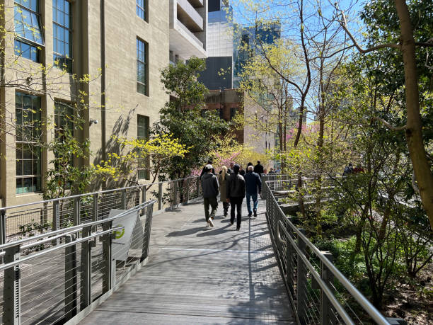 il parco lineare sopraelevato lungo 1,45 miglia, la greenway e il sentiero ferroviario della high line creati su un ex sperone della new york central railroad - nyc greenway foto e immagini stock