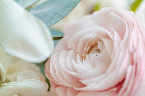 istock Beautiful flowers composition close-up 1399055135