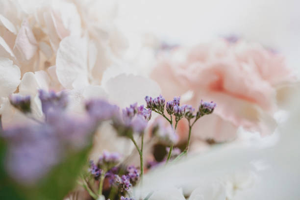 istock Beautiful flowers composition close-up 1399055148