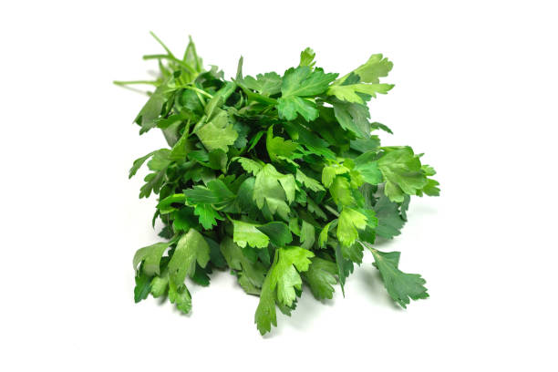 istock A bunch of parsley isolated on white background. 1399056301