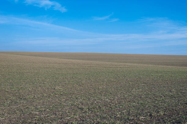 istock Ploughed field and blue sky as background. 1399056335