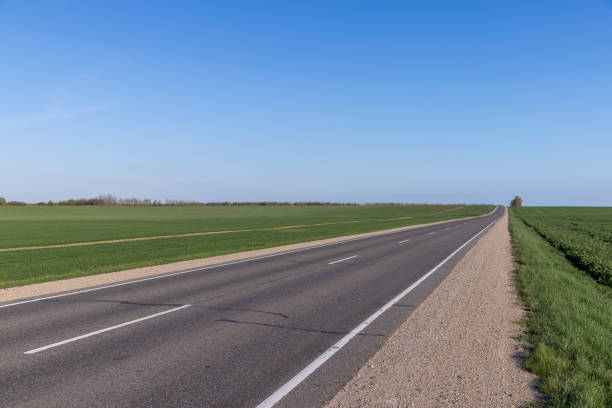 istock an asphalt road along which green plants 1399057687