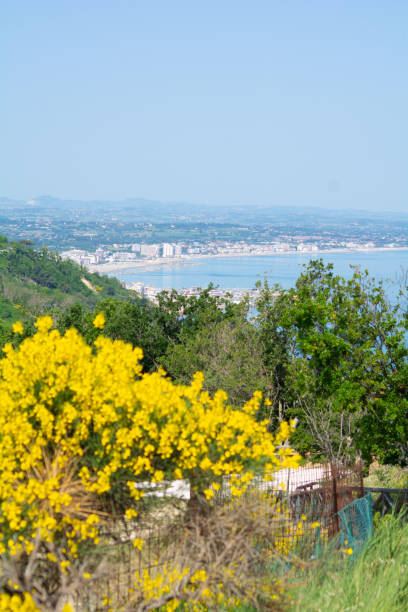 istock San Bartolo regional park Marche region 1399057756