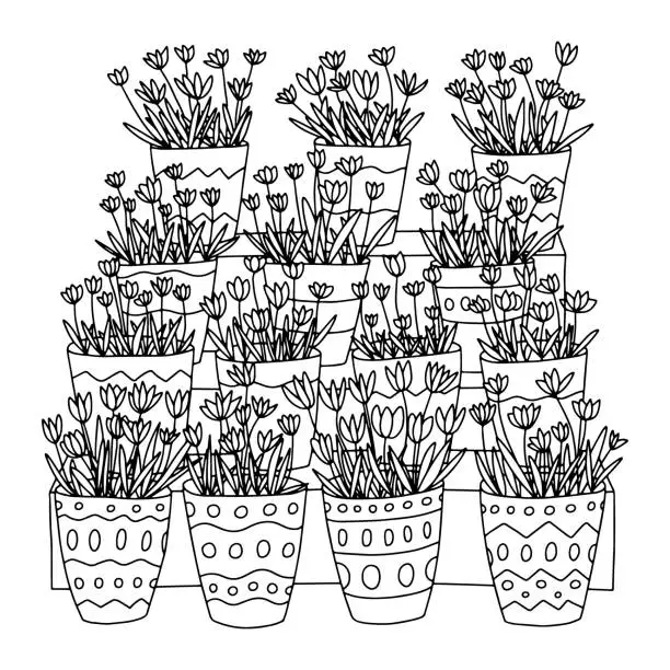 Vector illustration of Tulips bouquets coloring page