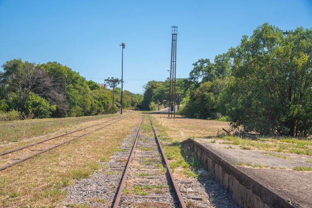 istock Abandoned railroad tracks in Brazil 1399064452