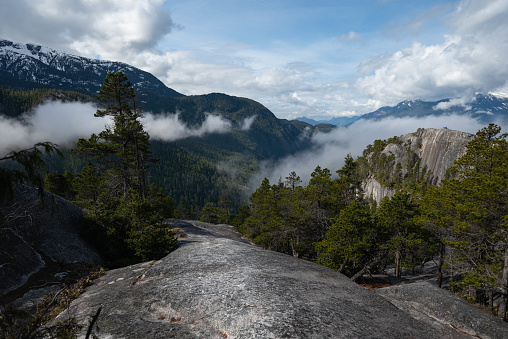 Beautiful British Columbia trail in Squamish, through forest up to viewpoints overlooking the ocean and mountain scenery.