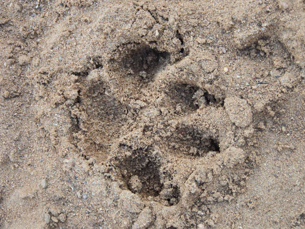 istock Textured background made of natural materials. 1399067825