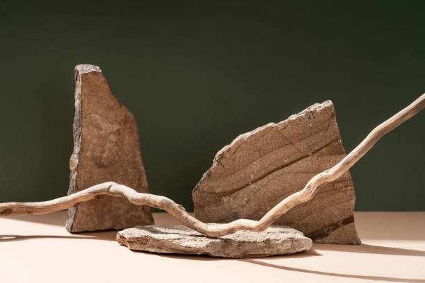 istock Composition empty podium material tree stone dry flowers. Product presentation. Background beige green. Beautiful background from natural materials 1399067969