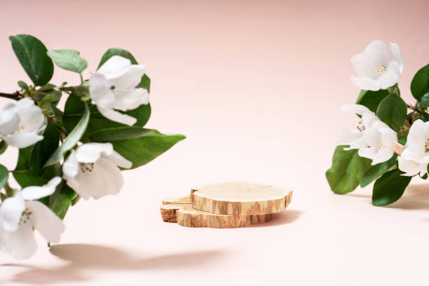 istock Beautiful background from natural materials. Podium material tree, stone, flowers. Product presentation. Background beige green. 1399068060