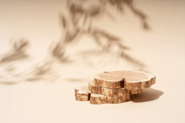 istock Beautiful background from natural materials. Composition empty podium material tree stone dry flowers. Product presentation. Background beige. 1399068305