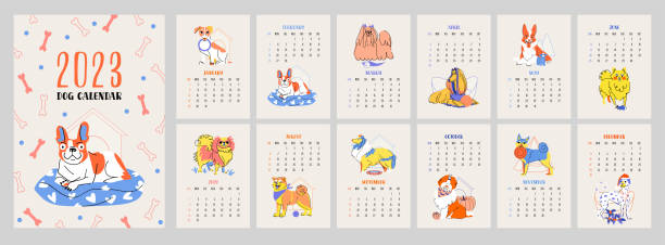 illustrations, cliparts, dessins animés et icônes de calendrier vectoriel du chien 2023. isolé sur fond beige. collection avec 12 races de chiens. couverture colorée et lumineuse et pages de 12 mois avec des illustrations vectorielles saisonnières. la semaine commence le dimanche - dog wallpaper humor retro revival