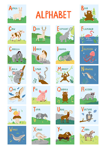 Cute Animals Alphabet For Kids Education From A To Z Childish Vector Font  For Kids Abc Book With Hand Drawn Animal Characters Stock Illustration -  Download Image Now - iStock