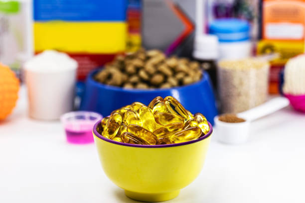 오메가 3 캡슐과 애완 동물 사료를 배경으로 한 그릇, 수의학. 개, 고양이, 물고기 또는 새를위한 식품 보충제 - vitamin d capsule fish oil yellow 뉴스 사진 이미지