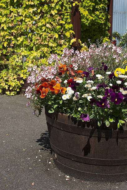 istock barrel planter with summer flowers 139907387