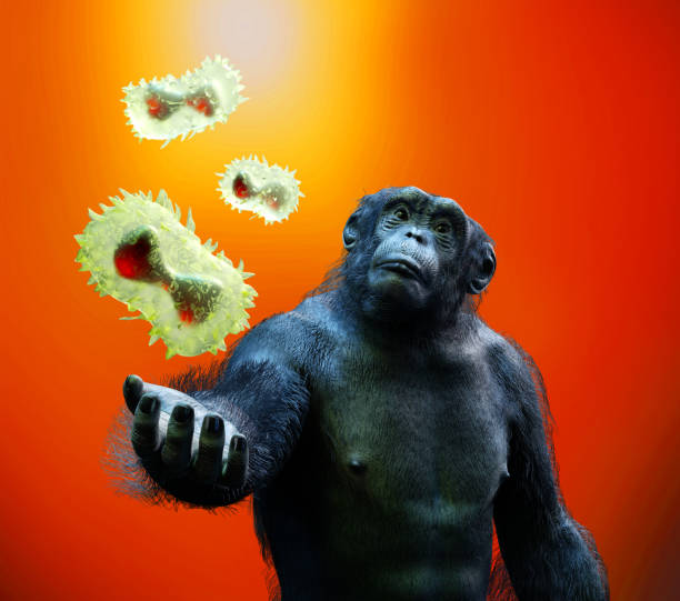 istock monkey pox virus of animal origin and monkey render 3d 1399074749