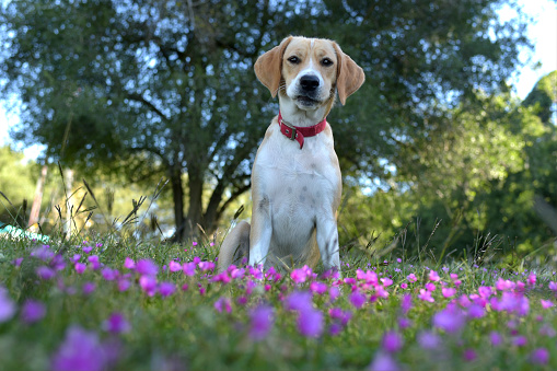 enjoying the outdoors