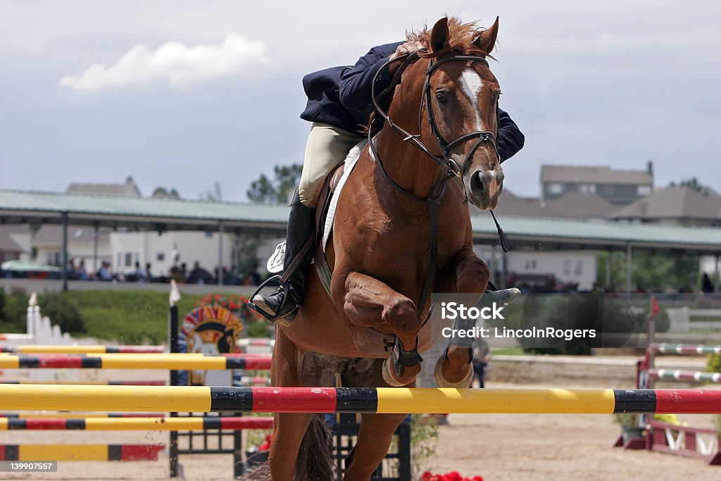 Equestre Salto ostacoli equestre - Foto stock royalty-free di Salto ostacoli equestre