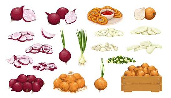 Onion icon set. Pile of onion bulbs, packed in net bag, in wooden crate, bunch of fresh green onions and rings. Vector illustration of harvest vegetables, farm product