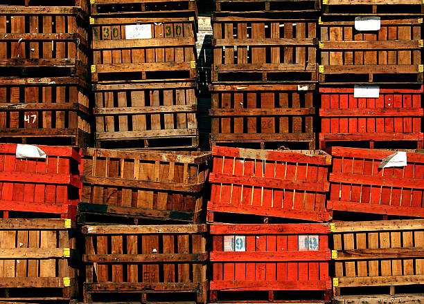 Crates stock photo