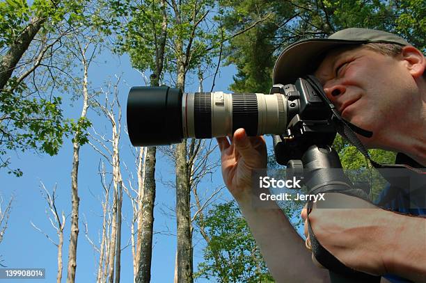 Fotograf Koncentracja - zdjęcia stockowe i więcej obrazów Aparat fotograficzny - Aparat fotograficzny, Bagno, Cisza