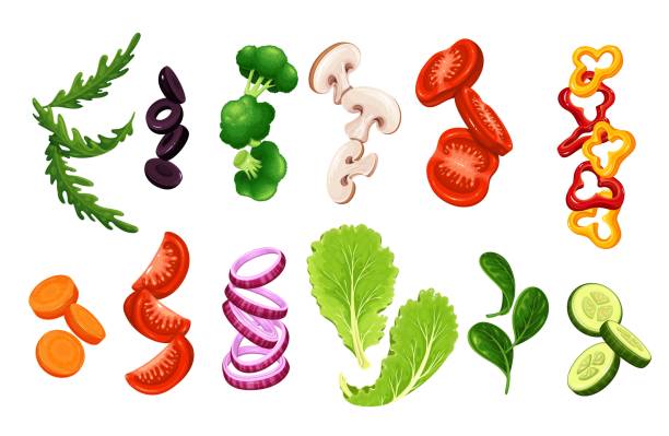 날거나 떨어지는 얇게 썬 야채와 상추 - onion vegetable leaf spice stock illustrations